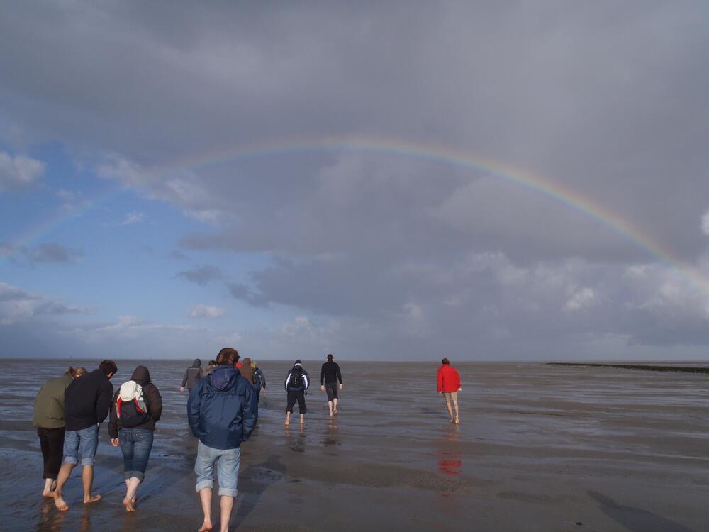 Wattwanderung Stipendiatenseminar Bad Bederkesa © Christian Friedrich