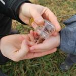 See yourself.... © Pixabay.com