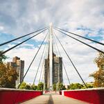 Brücke Mannheim © Pixabay