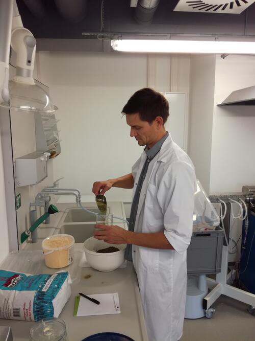 Dr. Toni Meier bei der Projektarbeit  © Dr. Toni Meier