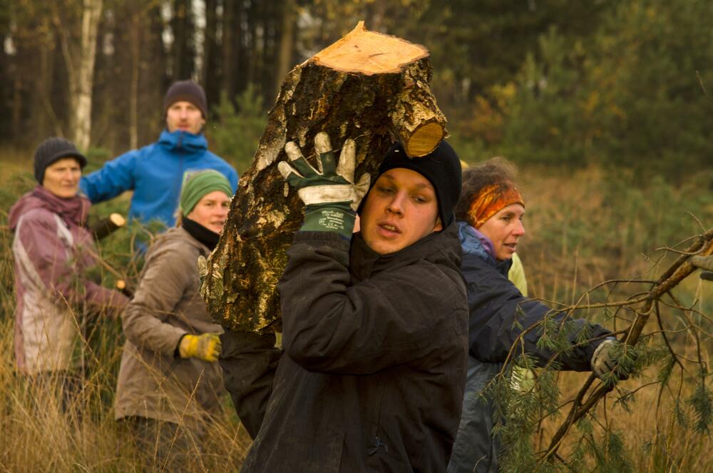 Bergwaldprojekt Cuxhavener Küstenheiden © Bergwaldprojekt/ Naumann