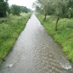 Nidda begradigt &copy; Forschungsinstitut Senckenberg