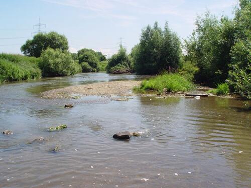 Nidda &copy; Forschungsinstitut Senckenberg