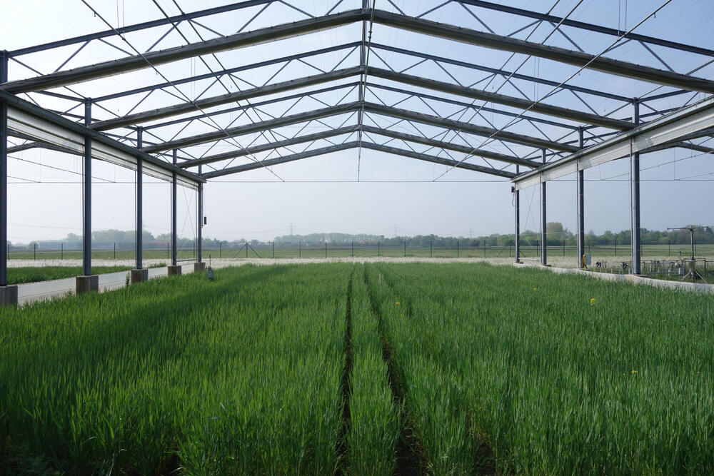 Die DBU-Promotionsstipendiatin Marie Sünnemann untersucht die Auswirkungen des Klimawandels auf ökologische Funktionen des Bodens. © Marie Sünnemann