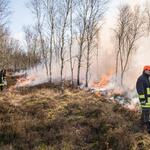 Kontrolliertes Brennen © Klaus-Peter Hurtig