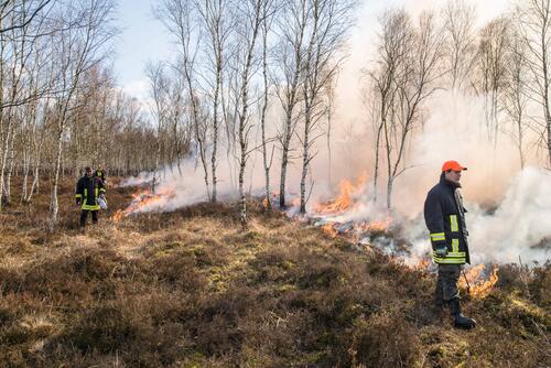 Kontrolliertes Brennen © Klaus-Peter Hurtig