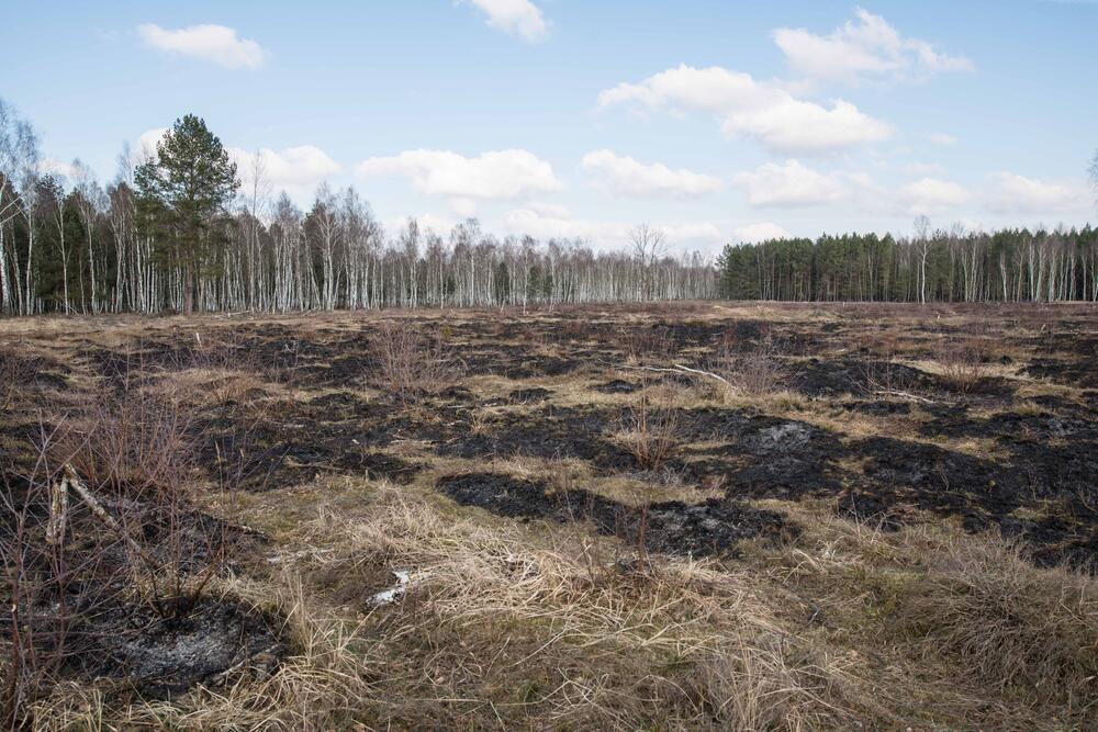Kontrolliertes Brennen nachher © Klaus-Peter Hurtig