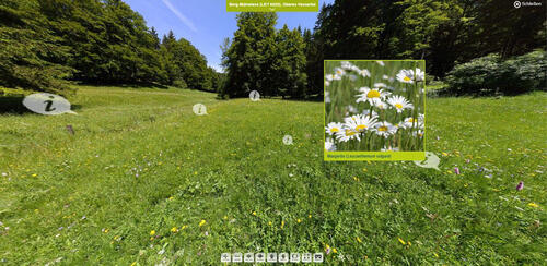 Panoramabild eines Natura 2000 Gebiets. © R. Manderbach