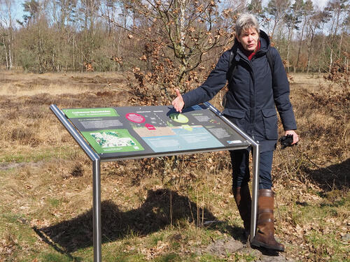 Sehen Sie selbst... © Gesa Wannick/DBU Naturerbe