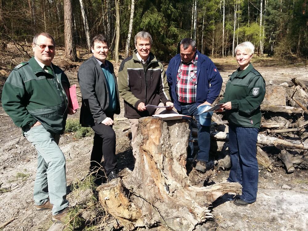 Authausener Wald © Deutsche Bundesstiftung Umwelt