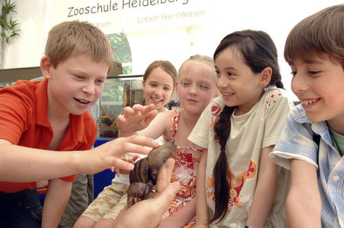 Expo der Vielfalt: Impressionen 28.5.2008 