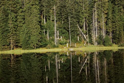 Sehen Sie selbst... &copy; Charly Ebel/Nationalpark Schwarzwald