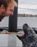 Eric Maaß und sein Seehund © Eric Maaß