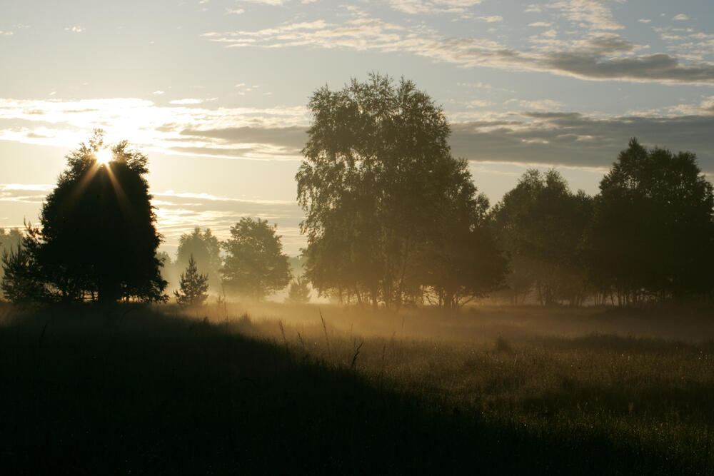 Sehen Sie selbst... © Claudia Walter