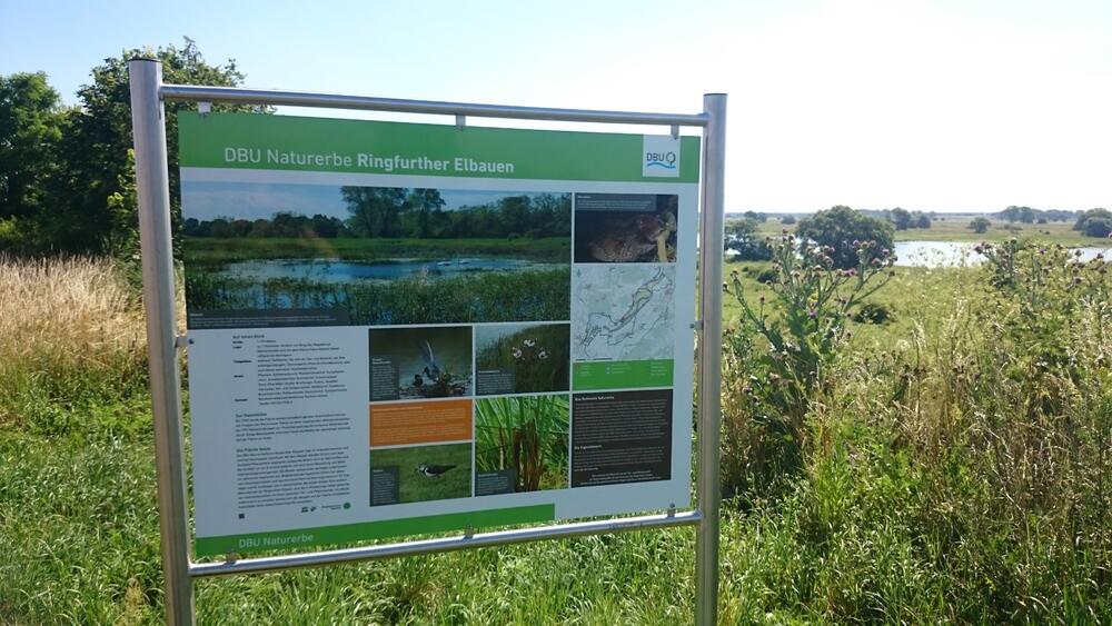 Infotafel für DBU-Naturerbefläche Ringfurther Elbauen © Bundesforst