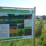 Infotafel für DBU-Naturerbefläche Ringfurther Elbauen © Bundesforst