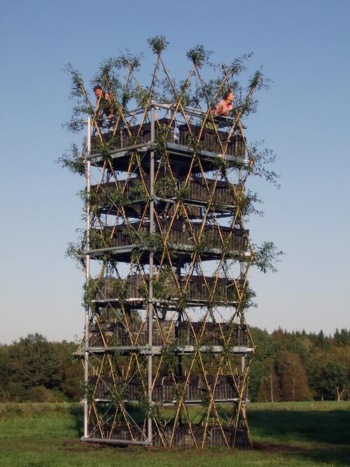 Baubotanischer Turm 