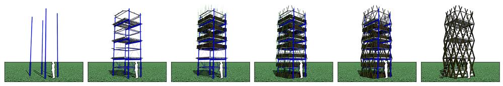 Phasen Baubotanischer Turm 