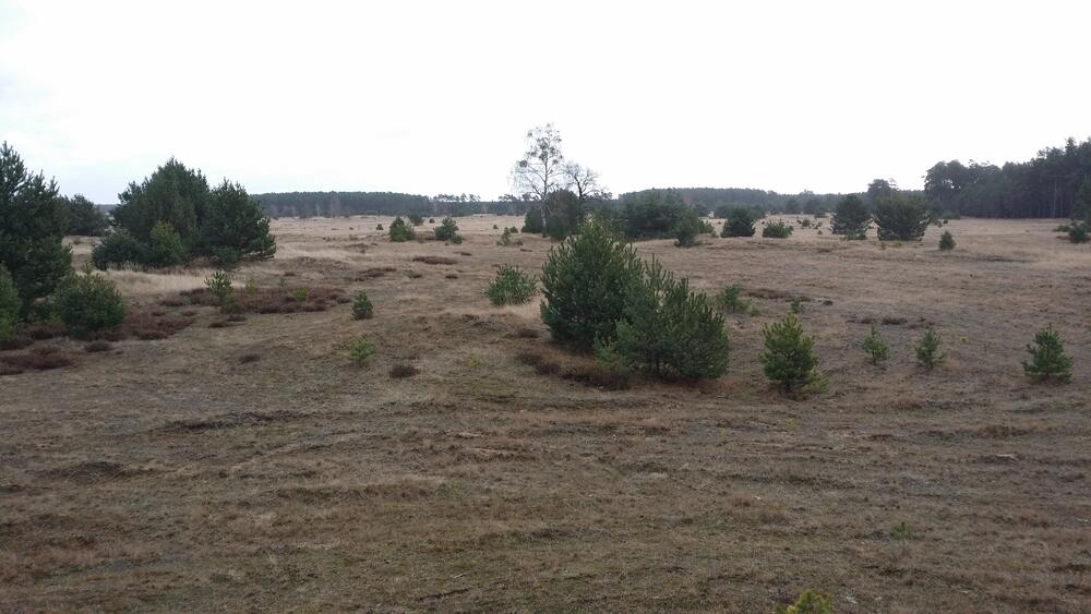 Kuhlmorgen  © Deutsche Bundesstiftung Umwelt