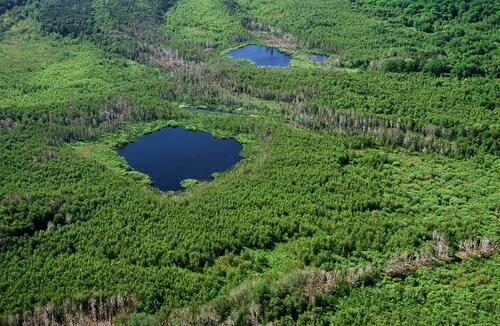 Luftbild Peenemuende © Norbert Rosing