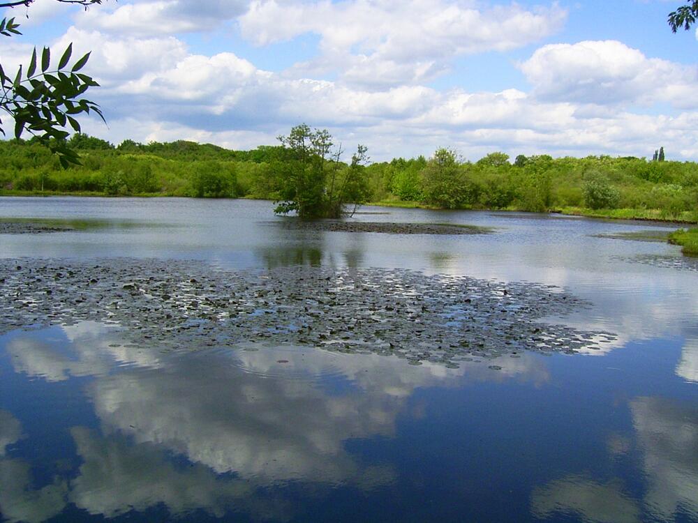 Foerstchenteich_Wahner Heide © DBU Naturerbe