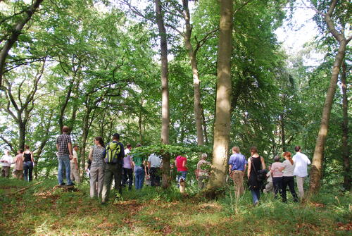 Exkursion_Buhlitz auf Rügen © DBU Naturerbe
