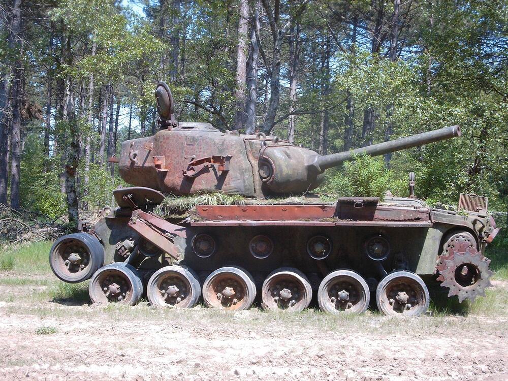 Panzer_Cuxhavener Kuestenheiden © DBU Naturerbe