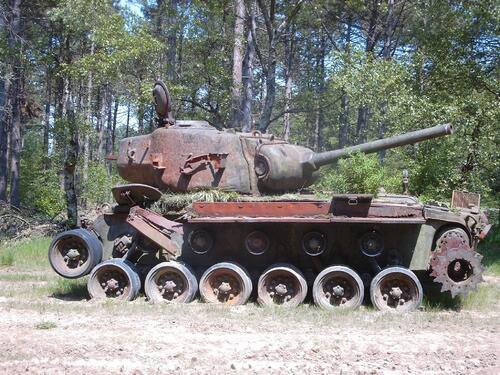 Panzer_Cuxhavener Kuestenheiden © DBU Naturerbe