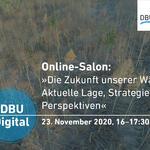 Die Zukunft unserer Wälder © Deutsche Bundesstiftung Umwelt