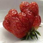 Sehen Sie selbst... &copy; Antonia Blumethal 