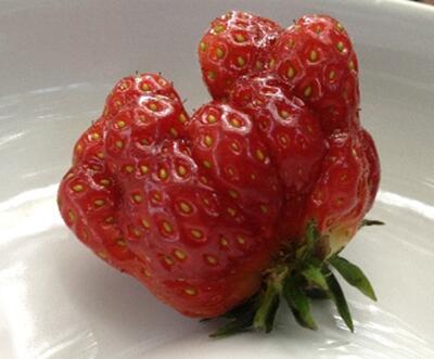 Sehen Sie selbst... &copy; Antonia Blumethal 