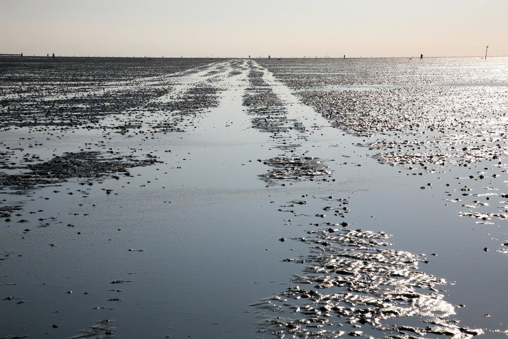 Wattenmeer © Uschi Euler/piclease