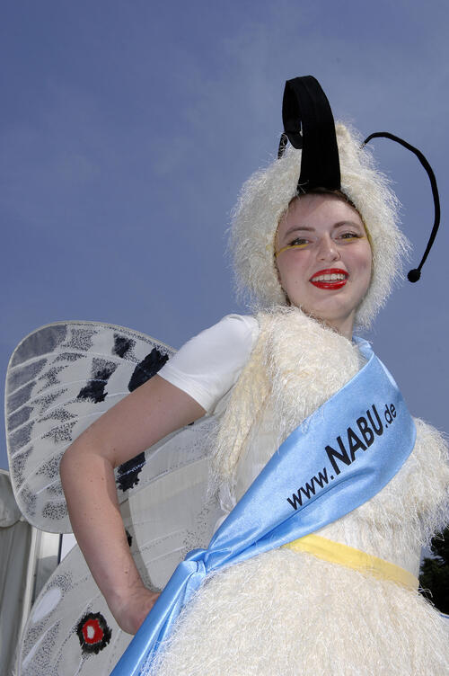 Expo der Vielfalt: Impressionen 29.5.2008 