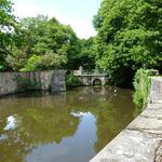 Gräfte Gut Sutthausen &copy; Büro für angewandte Ökologie