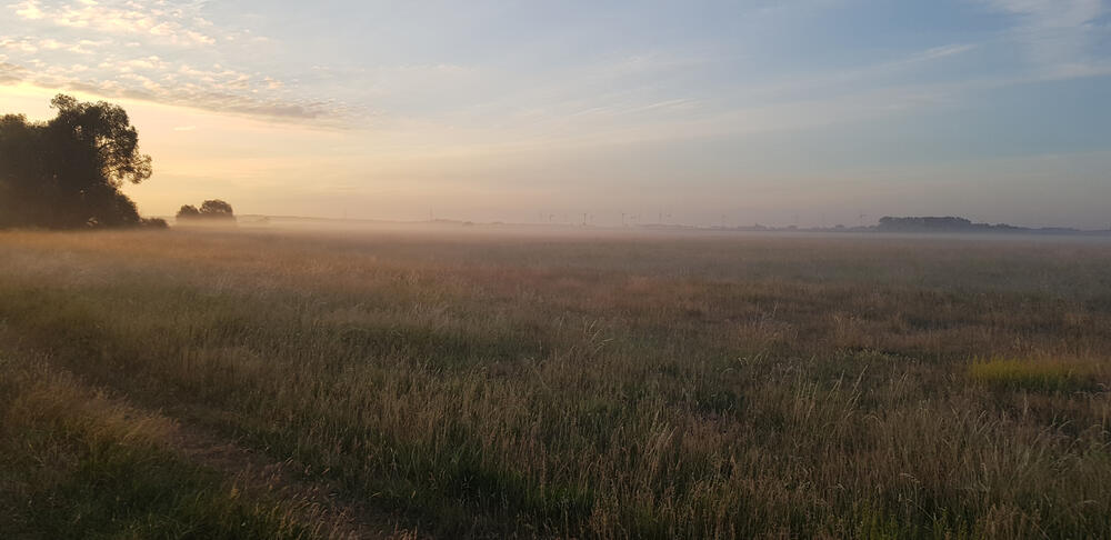 DBU-Naturerbefläche Ringfurther Elbauen © Christian Block/Bundesforst 