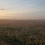 DBU-Naturerbefläche Ringfurther Elbauen © Christian Block/Bundesforst 