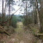 Dammer Berge © DBU Naturerbe GmbH/U.Fuellhaas
