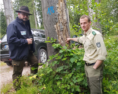 Buchenallee Hartmannsdorfer Forst © Behrendt/DBU