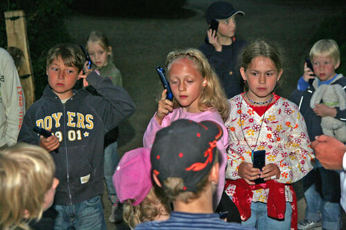 Fledermaus-Detektion 