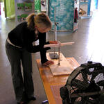 Schülerexperiment Vogelflug 