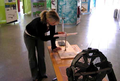 Schülerexperiment Vogelflug 