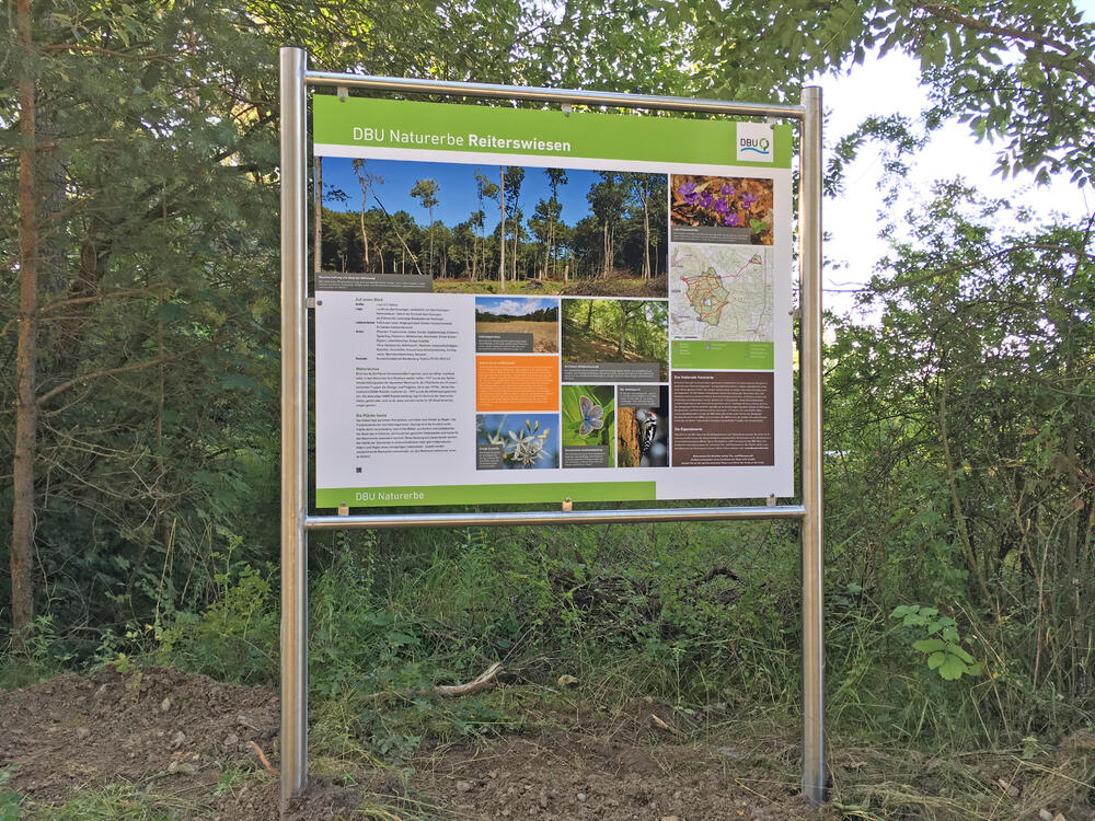 Infotafel Reiterswiesen  © Bundesforst