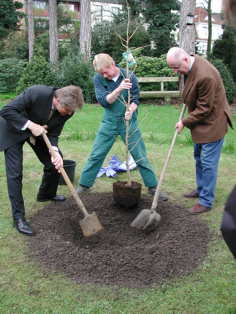 Brickwedde, Fritz, einen Baum pflanzend 