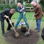 Brickwedde, Fritz, einen Baum pflanzend 
