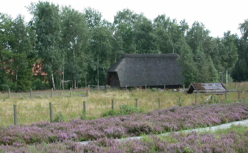 Ein Blick in das Goldenstedter Moor... 