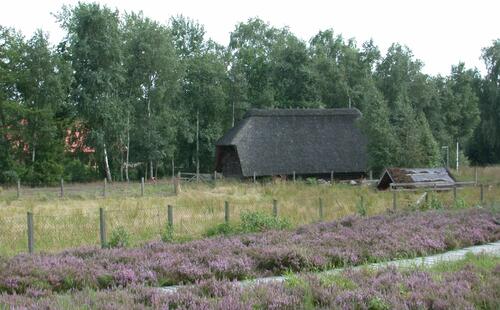 Ein Blick in das Goldenstedter Moor... 