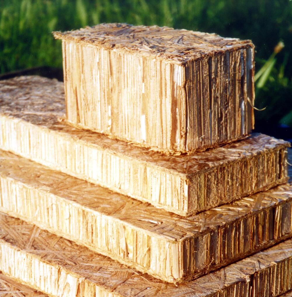 Dämmplatten aus Rohrkolben 