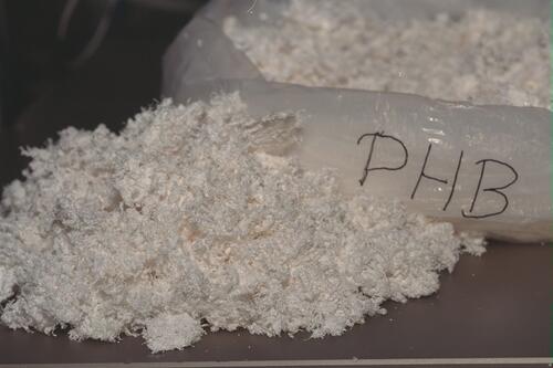 Biopolymere (isoliert) 