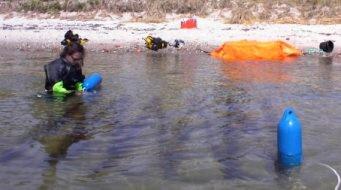 Algenfarm in der Ostsee 