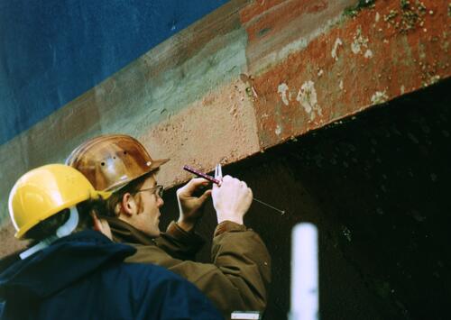 Wissenschaftliche Untersuchung, Bildquelle: WWF 